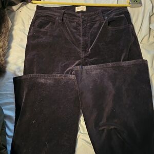 Shyanne Velvet Flare Jeans Size 34 (14/16) Black